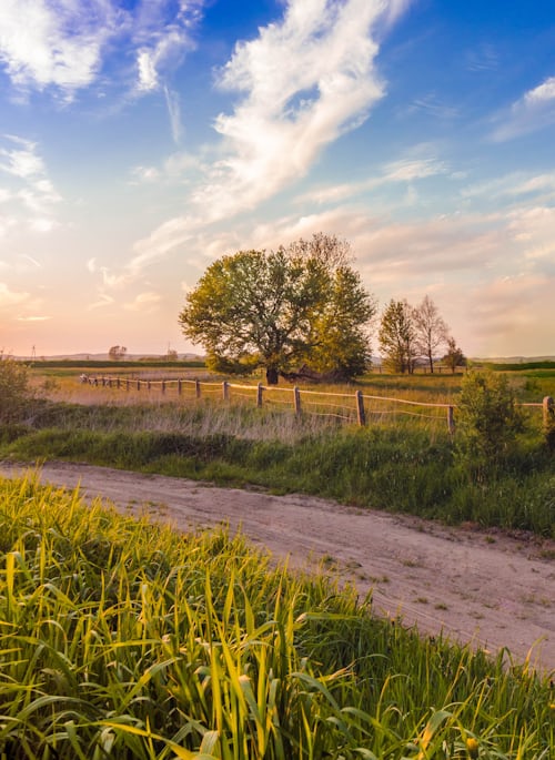 La particularité des EHPAD en milieu rural et les solutions qui sont mis en place